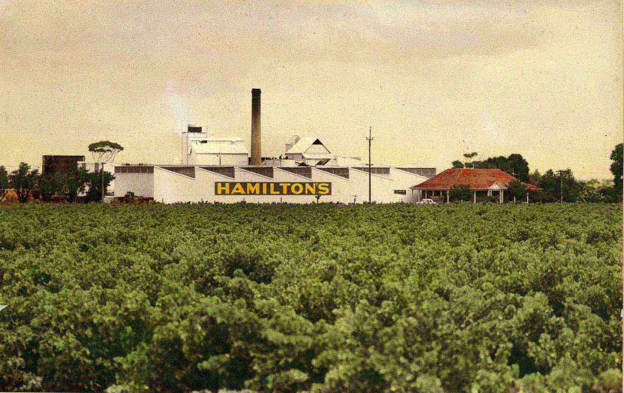 Hamiltons Ewell Vineyards Glenelg Winery